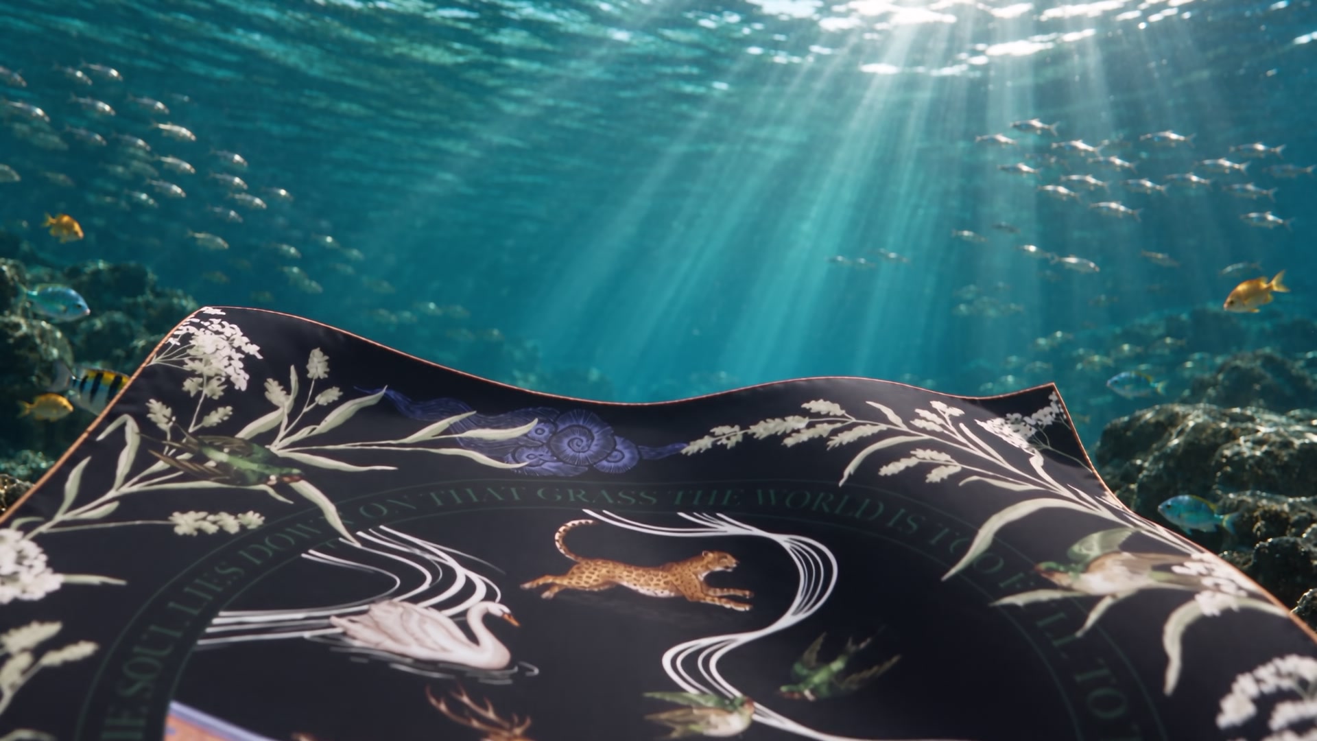 The scarf over the reef, from Ferkaí